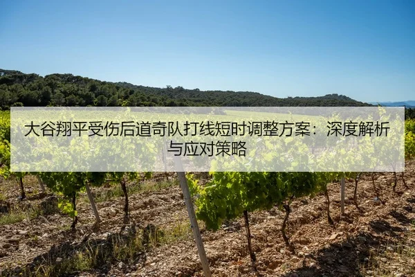 da-gu-xiang-ping-shou-shang-hou-dao-qi-dui-da-xian-duan-shi-diao-zheng-fang-an-shen-du-jie-xi-yu-ying-dui-ce-lve-2-955.jpg
