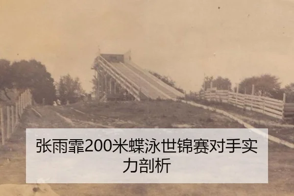 zhang-yu-fei-mi-die-yong-shi-jin-sai-dui-shou-shi-li-pou-xi-2-552.jpg
