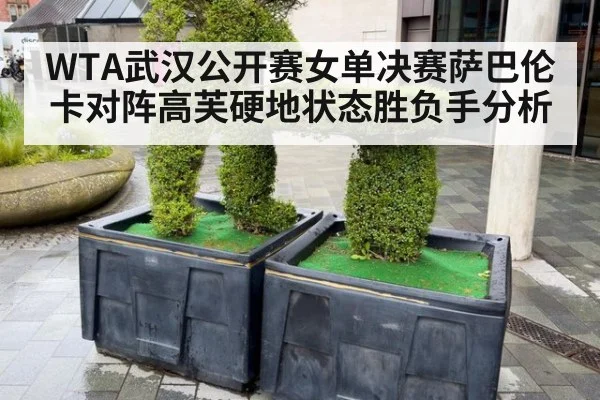 WTA武汉公开赛女单决赛萨巴伦卡对阵高芙硬地状态胜负手分析
