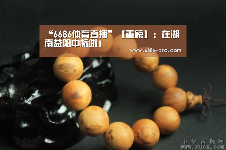 “6686体育直播”【重磅】：在湖南益阳中标啦！
