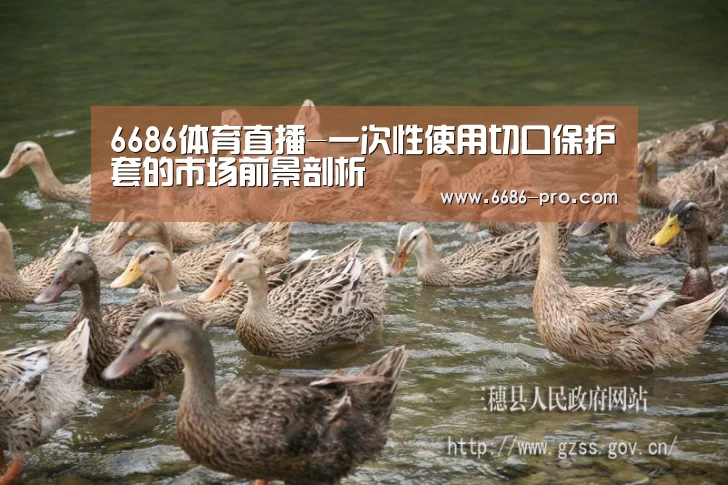6686体育直播-一次性使用切口保护套的市场前景剖析(图1) 6686电竞