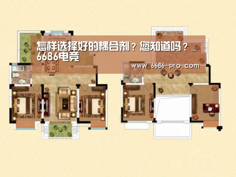 怎样选择好的耦合剂?您知道吗?_6686电竞(图1) 6686电竞